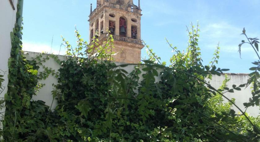Entre 2 Mezquitas Apartamento 8 Cordoue Extérieur photo
